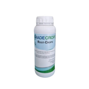ROOT-CROPS
